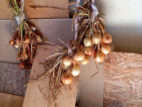 будинок за адресою Центральна вул. (Пролетарська), 79/80