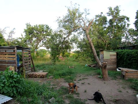 дом по адресу генерала момота, 8