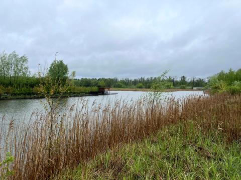 ділянка за адресою Виноградна вул., 33