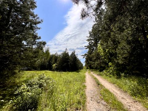 ділянка за адресою с. Блиставиця, 