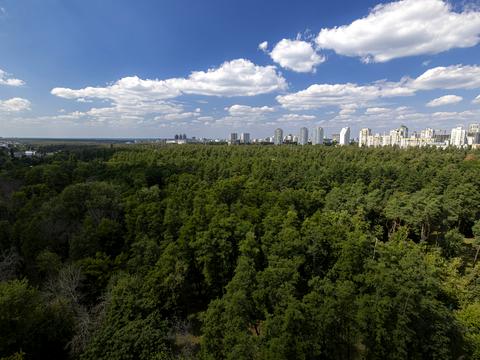 квартира за адресою Анатолія Петрицького вул., 23
