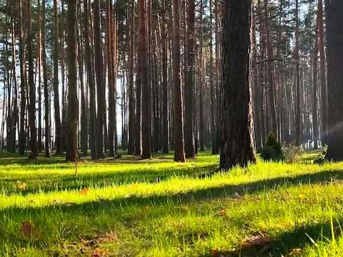 будинок за адресою Козацька
