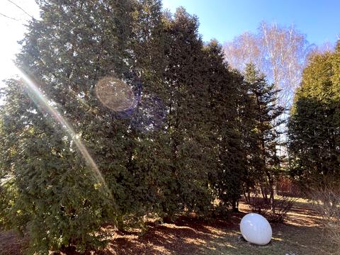 будинок за адресою Янтарная, 14