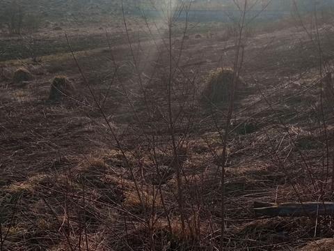 участок по адресу Хмельницкий, 
