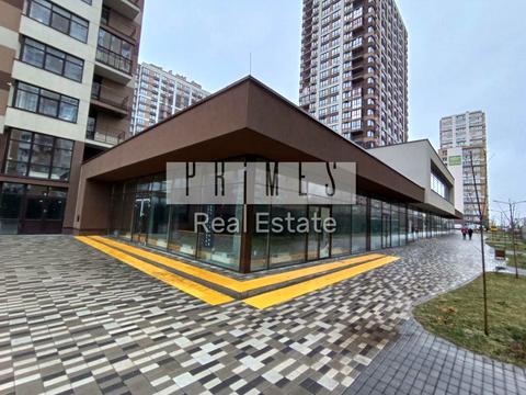 коммерческая по адресу Олександра Олеся ул., 2п