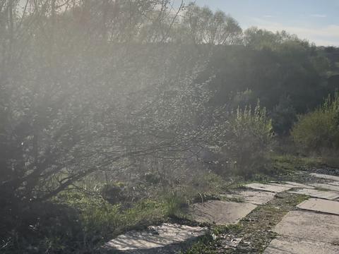 ділянка за адресою Провулок Зоряний