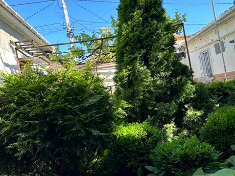 дом по адресу Дмитрия Донского, 31