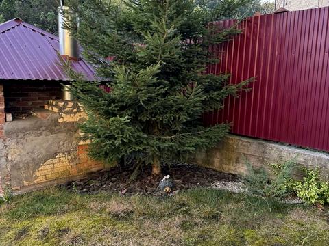 дом по адресу вул.Бурштиновий 2-й проїзд, 12