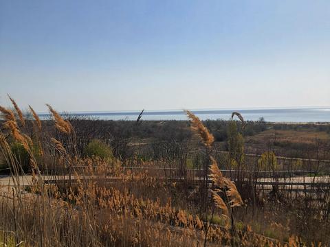 ділянка за адресою  Кароліно-Бугаз, Кароліни Сибанської вул., 5