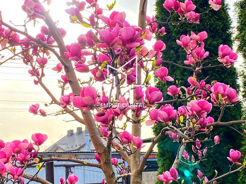 будинок за адресою Нігірна