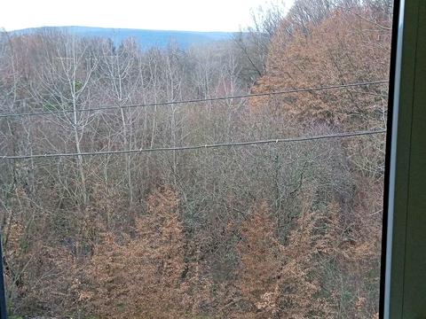 дом по адресу Дачний масив