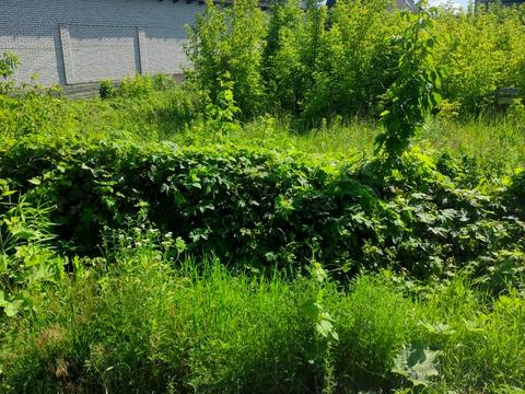 участок по адресу Рыболовецкая ул., 49Г