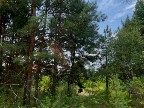 участок по адресу Старокиевская ул.