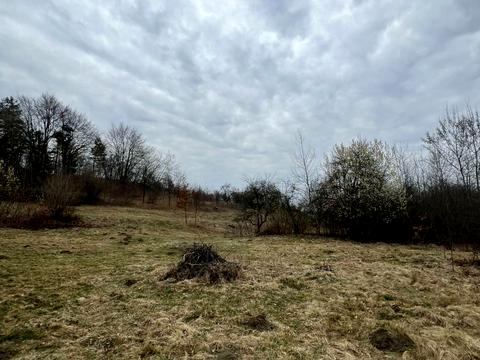 ділянка за адресою с. Козулька, запасіка, 19