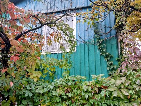 участок по адресу Богатырская ул., 42
