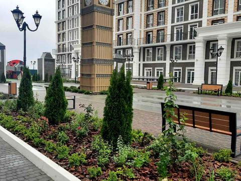 квартира за адресою Михайла Максимовича вул. (Онуфрія Трутенка), 24