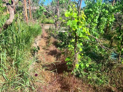 дом по адресу Хвойна, 329