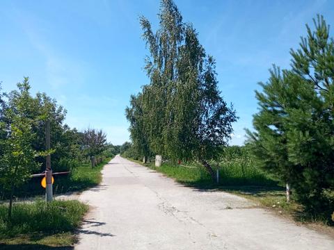ділянка за адресою Гамаліївка