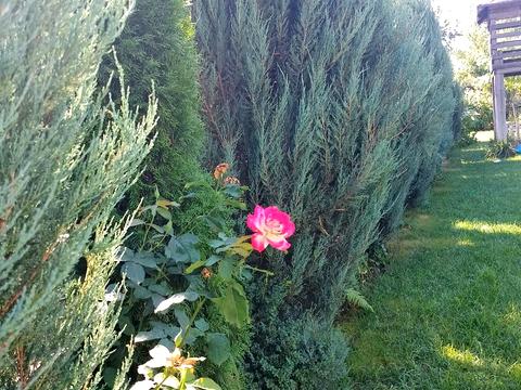 дом по адресу с. Ревное, Польова