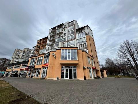 комерційна за адресою Панаса Мирного вул., 19-А