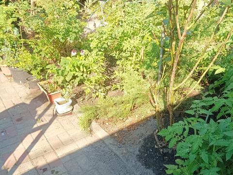 квартира по адресу Тахіатаська вул., 21