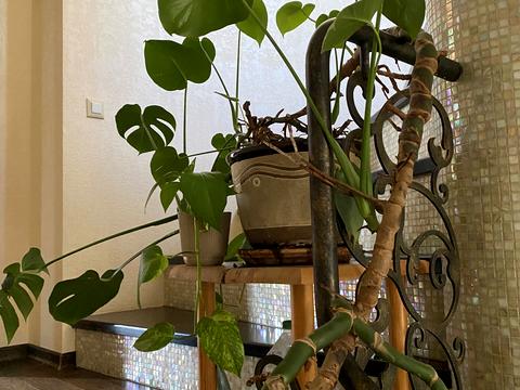 будинок за адресою Фонтанська дорога вул. (Перекопской дивизии улица), 76