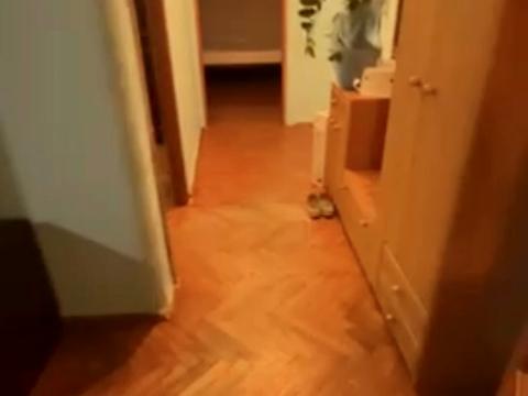 квартира по адресу Михаила Горыня ул. (Скрипника), 7