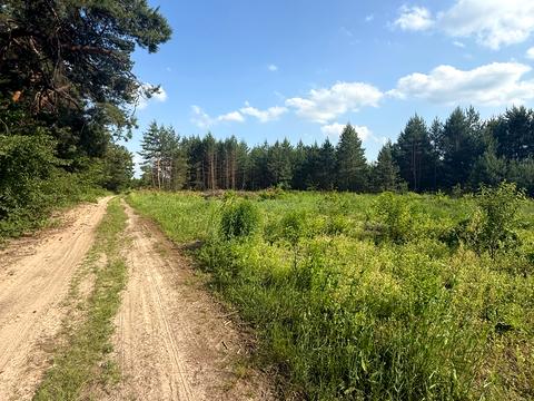 ділянка за адресою 