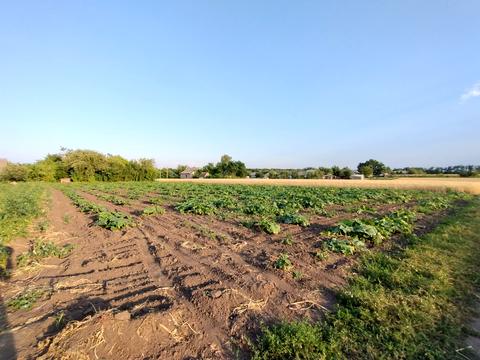 будинок за адресою Лесі Українки, 57