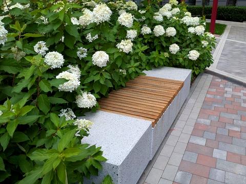 квартира за адресою Університетська вул., 1л