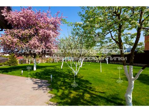 будинок за адресою Ірпінська