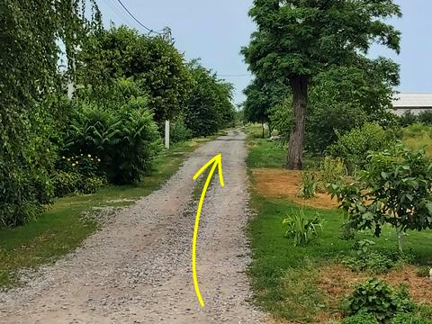 участок по адресу Амосова