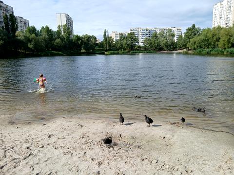 квартира за адресою Оболонський просп., 36