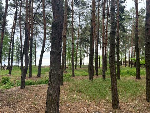 ділянка за адресою Левадна