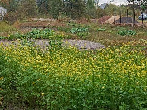 квартира за адресою Зв'язківців, 28б