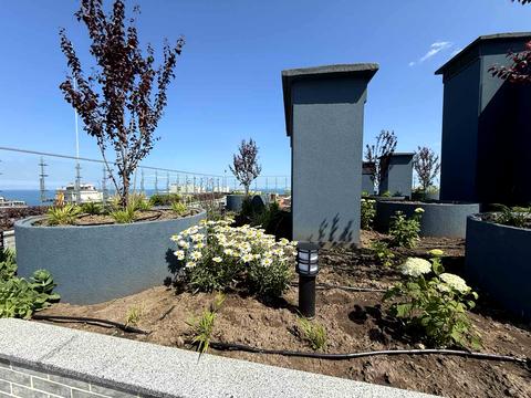 квартира по адресу Курортный пер., 2/4