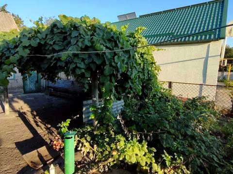 дом по адресу пгт. Яворницкое (Илларионово), Харківська