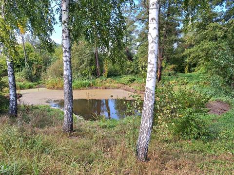 участок по адресу Чернигов, Мира просп.