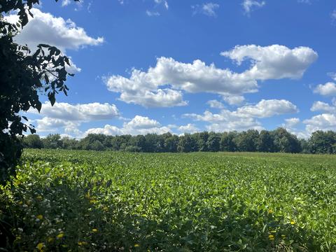 ділянка за адресою Шкільна