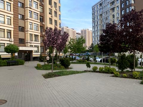 квартира по адресу Берёзовая ул., 43