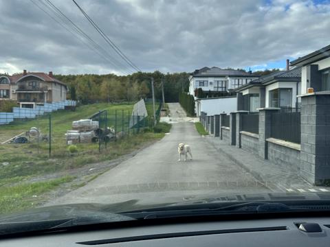 ділянка за адресою Джерельна