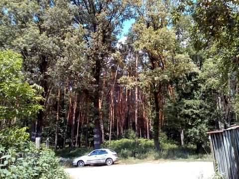 ділянка за адресою Газопровідна вул.