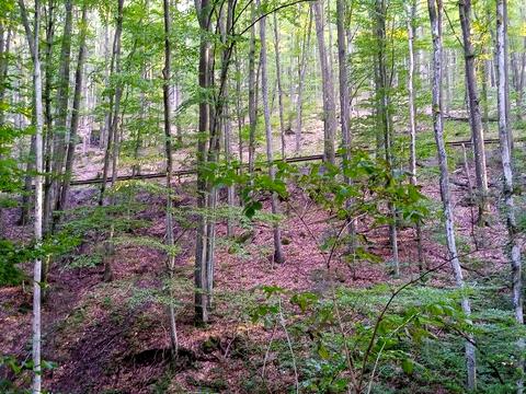 дом по адресу Дачний масив