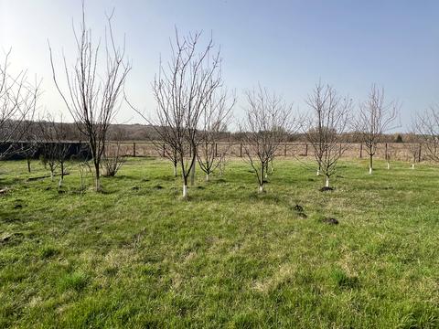 будинок за адресою Сонячна, 22В