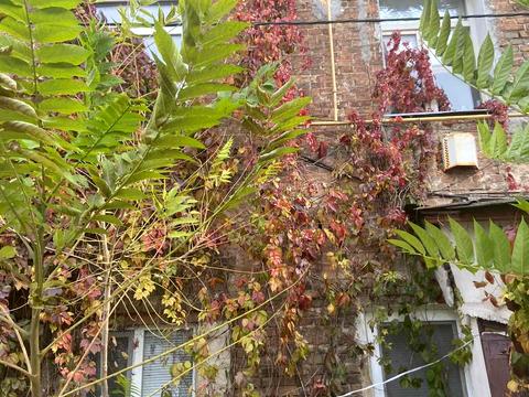 квартира за адресою В'ячеслава Чорновола вул.