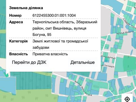 дом по адресу пгт. Вишневец, Івана Богуна ул., 95