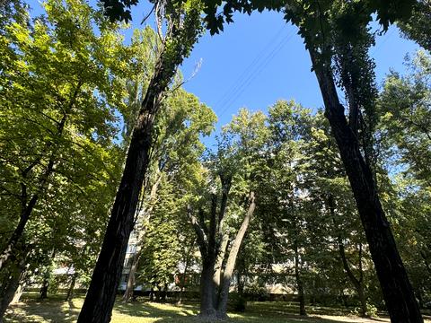 квартира за адресою Романа Ратушного вул. (Волгоградська), 33