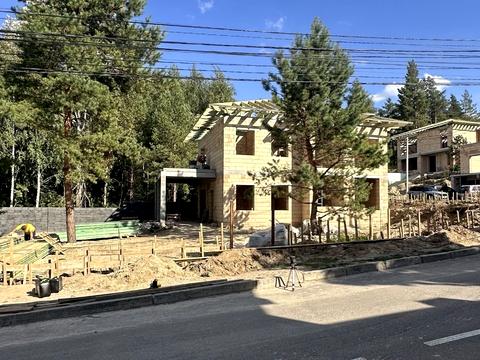 дом по адресу Центральная ул.