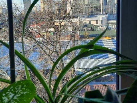 комерційна за адресою Чернігівська вул., 38/7