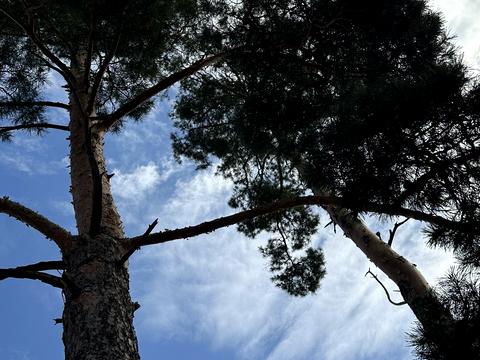 ділянка за адресою Лугова вул.